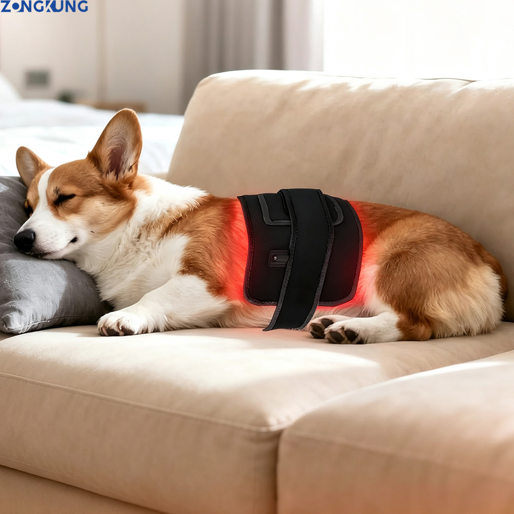 Rode Lichttherapie voor Huisdi - Galvanic Skin Sensor recensie en prijs